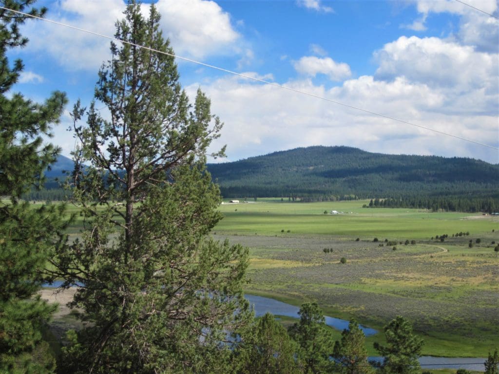 Large view of 1.54 ACRES IN BEAUTIFUL OREGON PINES THAT ADJOINS THE FREMONT-WINEMA NATIONAL FOREST PRIVATE ACCESS TO MIILIONS OF ACRES OF PLAYGROUND Photo 12