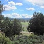 Thumbnail of Beautiful Timbered 80.76 Acre Oregon Ranch Land near California Border Photo 6