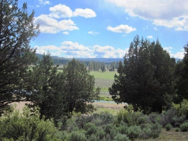 Beautiful Timbered 80.76 Acre Oregon Ranch Land near California Border
