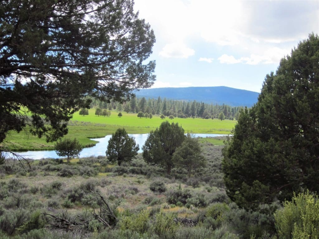 Large view of 2.92 ACRES IN GORGEOUS SOUTHERN OREGON ~ TIMBERED PROPERTY OVERLOOKING THE MIGHTY SPRAGUE RIVER VALLEY. Photo 7