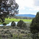 Thumbnail of 2.92 ACRES IN GORGEOUS SOUTHERN OREGON ~ TIMBERED PROPERTY OVERLOOKING THE MIGHTY SPRAGUE RIVER VALLEY. Photo 7