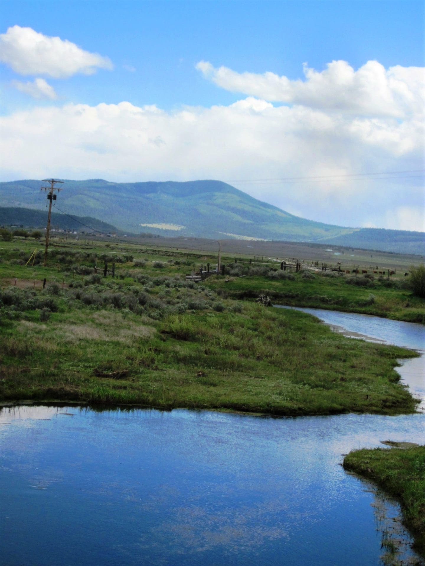 2.92 ACRES IN GORGEOUS SOUTHERN OREGON ~ TIMBERED PROPERTY OVERLOOKING THE MIGHTY SPRAGUE RIVER VALLEY. photo 6