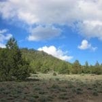 Thumbnail of Beautiful 10.00 Acre Oregon Ranch Land with Old Growth Timber near Klamath Falls & California Photo 3