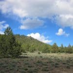 Thumbnail of 2.92 ACRES IN GORGEOUS SOUTHERN OREGON ~ TIMBERED PROPERTY OVERLOOKING THE MIGHTY SPRAGUE RIVER VALLEY. Photo 5