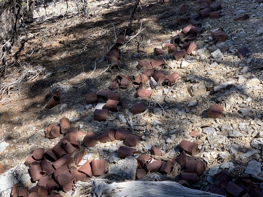 6.88 Acre CHAMPION MILLSITE, SUR 37B Patented Mining Claim in The Diamond Mining District Just North of Eureka, Nevada photo 17