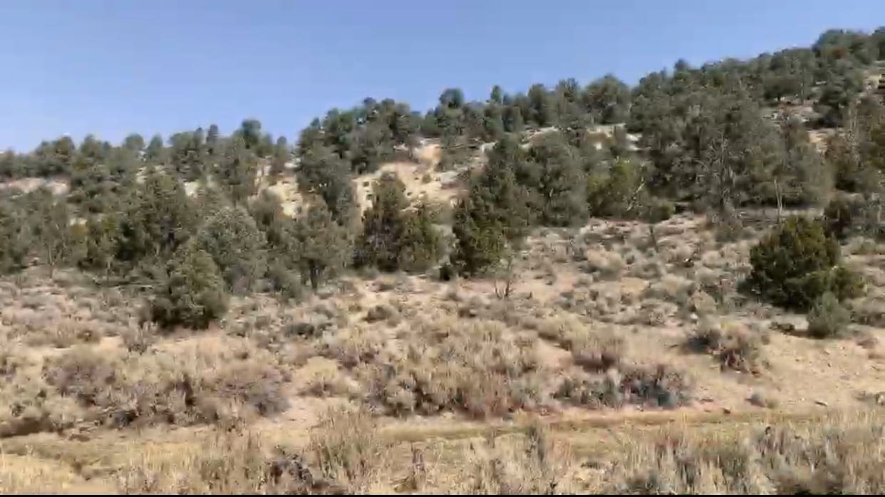 O Star of the West Mill Site SUR 38B ~ 5.00 Acres on Mountain Top ~ Jackson Mining District ~ Gold & Silver photo 16