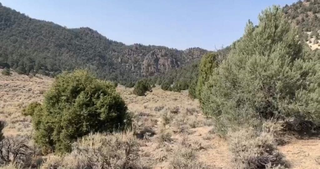 Large view of O Star of the West Mill Site SUR 38B ~ 5.00 Acres on Mountain Top ~ Jackson Mining District ~ Gold & Silver Photo 6