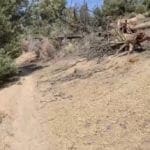 Thumbnail of O Star of the West Mill Site SUR 38B ~ 5.00 Acres on Mountain Top ~ Jackson Mining District ~ Gold & Silver Photo 27