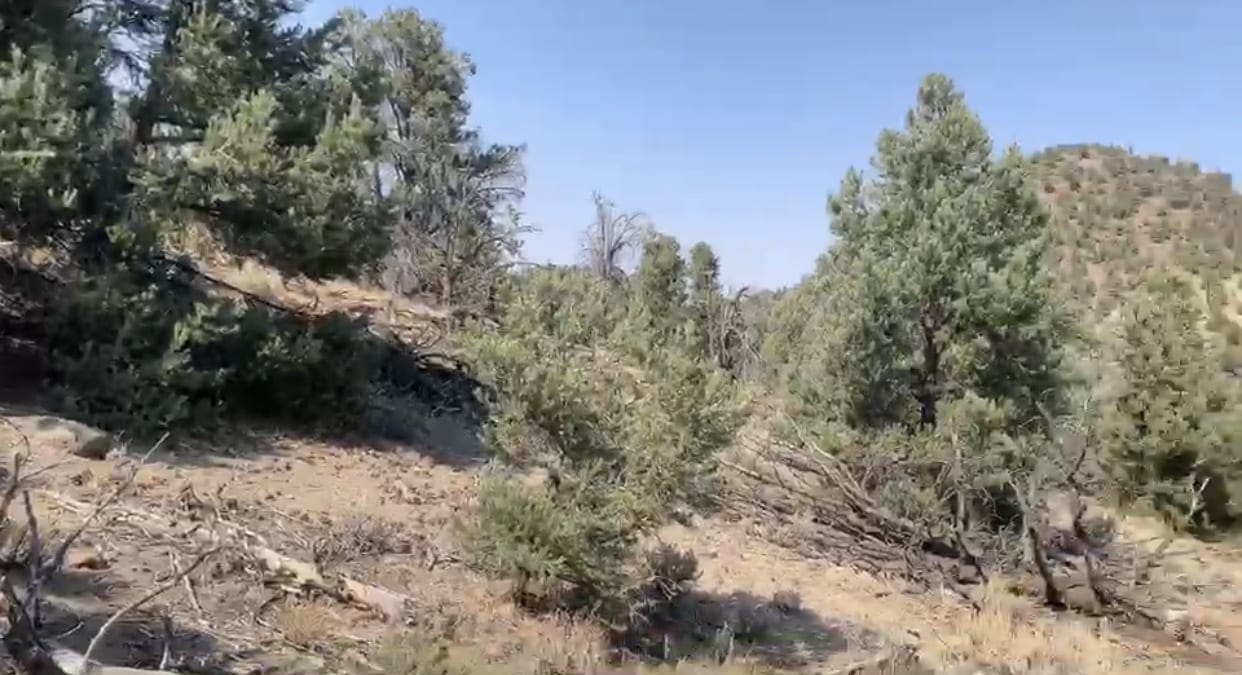 O Star of the West Mill Site SUR 38B ~ 5.00 Acres on Mountain Top ~ Jackson Mining District ~ Gold & Silver photo 30