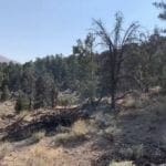 Thumbnail of O Star of the West Mill Site SUR 38B ~ 5.00 Acres on Mountain Top ~ Jackson Mining District ~ Gold & Silver Photo 33