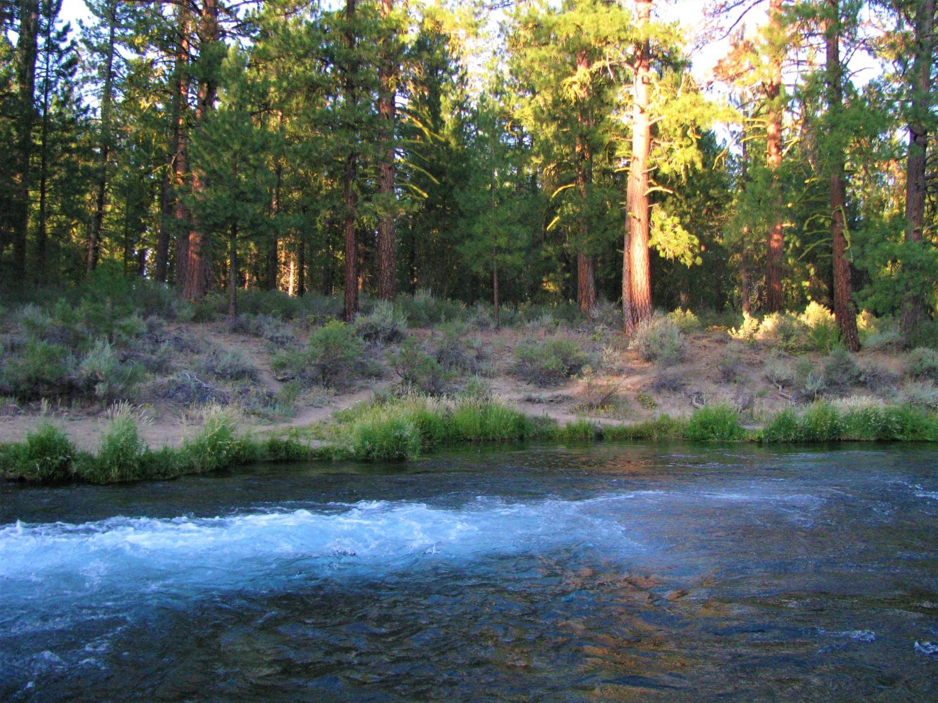 2.92 ACRES IN GORGEOUS SOUTHERN OREGON ~ TIMBERED PROPERTY OVERLOOKING THE MIGHTY SPRAGUE RIVER VALLEY. photo 3