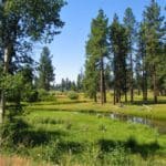Thumbnail of 1.54 ACRES IN BEAUTIFUL OREGON PINES THAT ADJOINS THE FREMONT-WINEMA NATIONAL FOREST PRIVATE ACCESS TO MIILIONS OF ACRES OF PLAYGROUND Photo 2