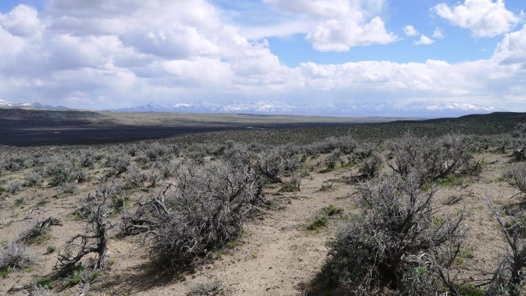 120 Acres in Gold & Silver Country Northern Nevada photo 7