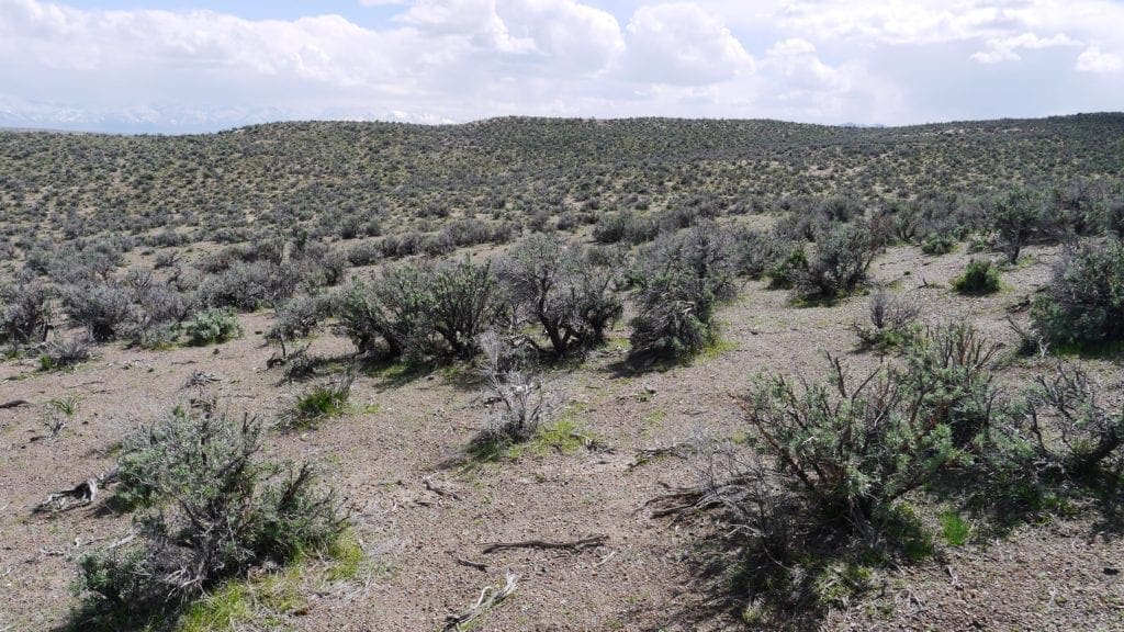 Large view of 120.00 Beautiful Acres in Gold & Silver Country Northern Nevada – Eureka Co – NO ZONING DO WHAT YOU WANT! Photo 13