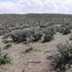 Thumbnail of 120.00 Beautiful Acres in Gold & Silver Country Northern Nevada – Eureka Co – NO ZONING DO WHAT YOU WANT! Photo 13