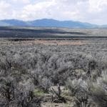 Thumbnail of Humboldt River Frontage 2.27 Acres In River Valley Ranches ~ Adjoining Parcel Available ~ Near Elko Photo 6