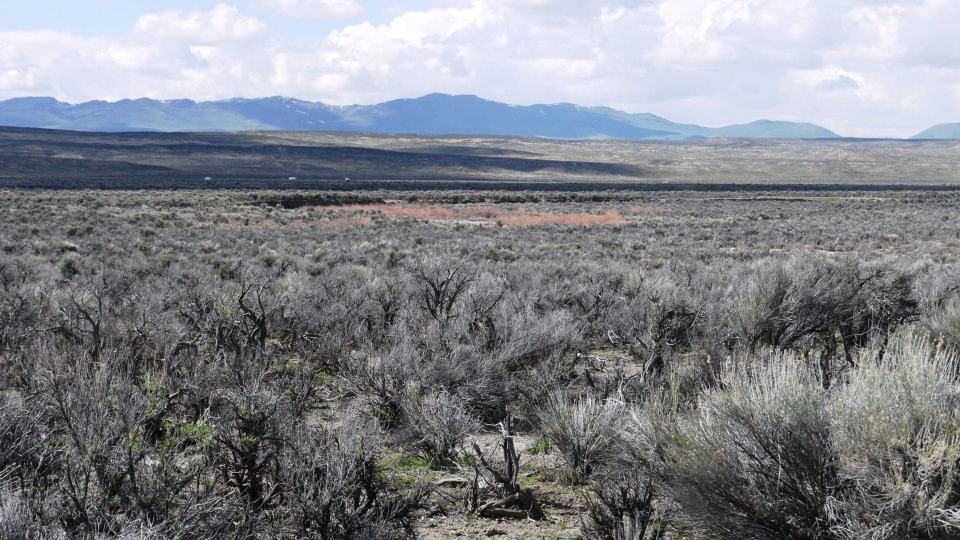 Humboldt River Frontage 2.27 Acres In River Valley Ranches ~ Adjoining Parcel Available ~ Near Elko photo 6