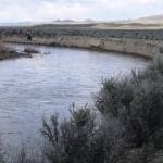 Thumbnail of 2.27 Acres In River Valley Ranches Rare Humboldt River Front land for sale near Elko Photo 10