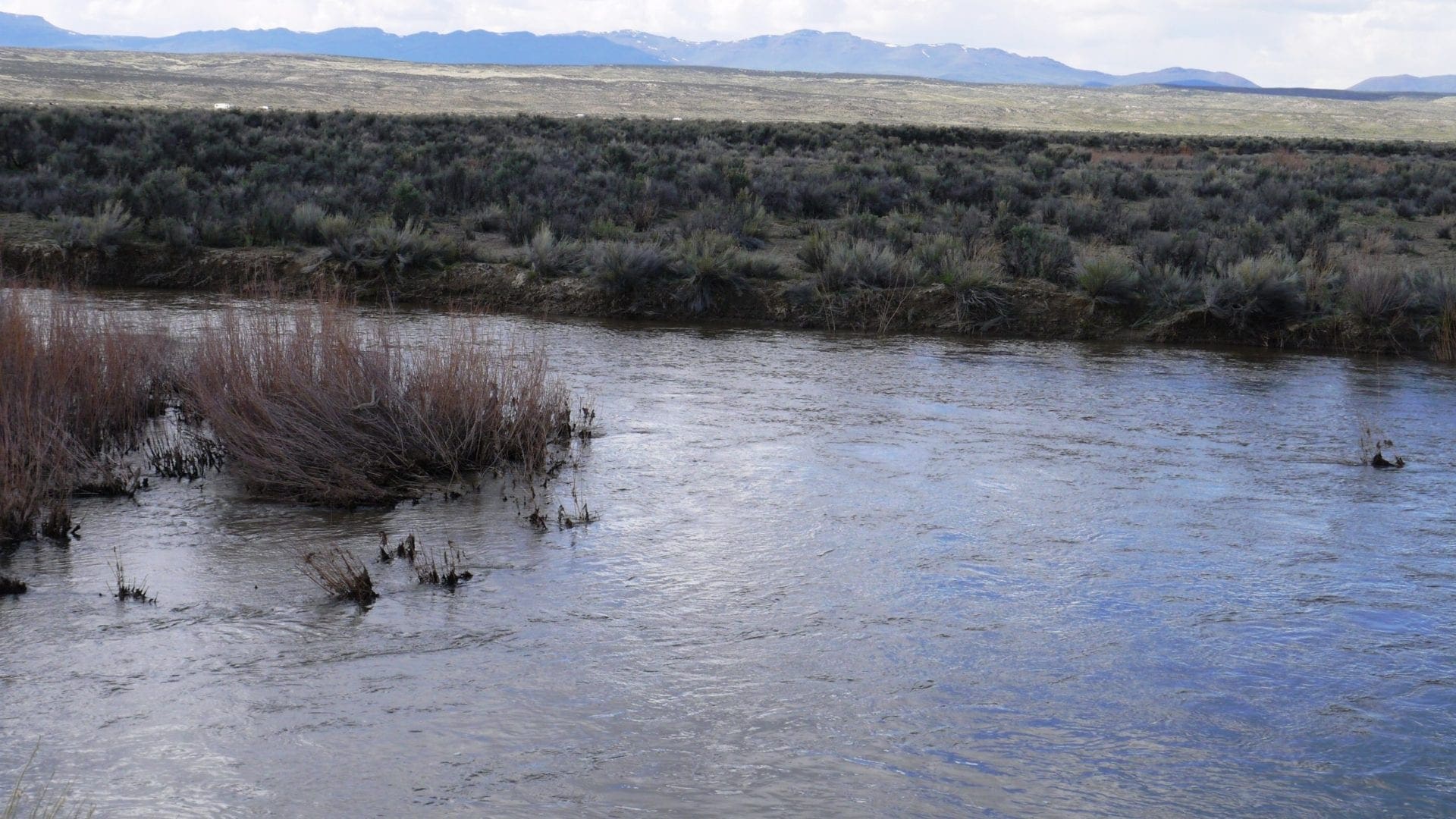 Humboldt River Frontage 2.27 Acres In River Valley Ranches ~ Adjoining Parcel Available ~ Near Elko photo 12