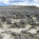 Thumbnail of Humboldt River Frontage 2.27 Acres In River Valley Ranches ~ Adjoining Parcel Available ~ Near Elko Photo 11