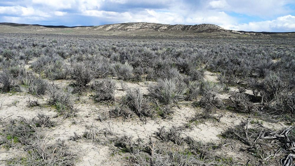 Humboldt River Frontage 2.27 Acres In River Valley Ranches ~ Adjoining Parcel Available ~ Near Elko photo 11