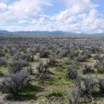 Thumbnail of Beautiful Nevelco Unit Building Lot or Campsite! 0.25 Acres Just Outside of Crescent Valley, Nevada Photo 6