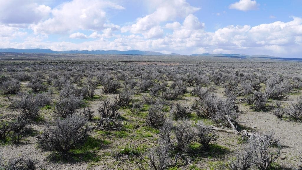 Large view of 120 Acres in Gold & Silver Country Northern Nevada Photo 3