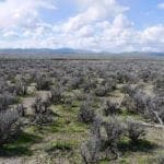 Thumbnail of 120 Acres in Gold & Silver Country Northern Nevada Photo 9