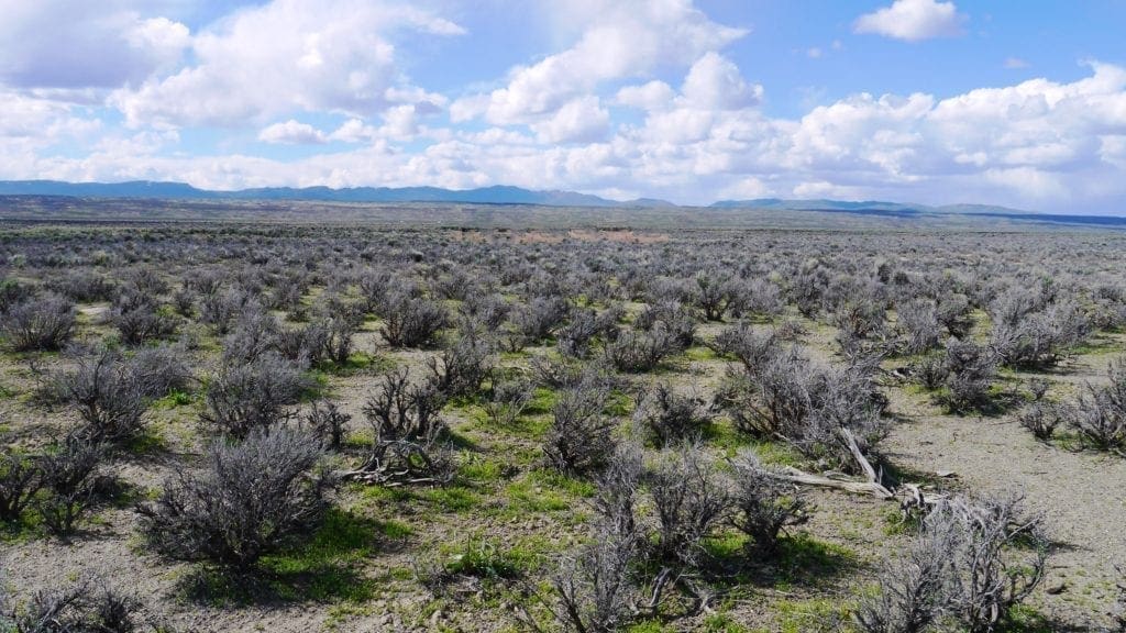 Large view of 40 Acres NEVADA RANCH LAND Surrounded on Two Sides by BLM Land! Hunt, Hike, Explore! No Zoning Build what you want! Photo 1