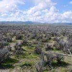 Thumbnail of 40 Acres NEVADA RANCH LAND Surrounded on Two Sides by BLM Land! Hunt, Hike, Explore! No Zoning Build what you want! Photo 1