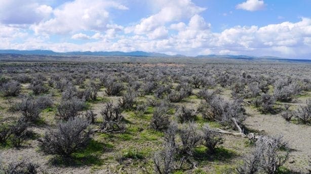 40 Acres NEVADA RANCH LAND Surrounded on Two Sides by BLM Land! Hunt, Hike, Explore! No Zoning Build what you want!