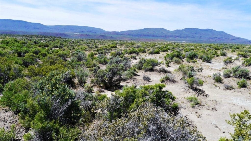 Large view of 40 Acres NEVADA RANCH LAND Surrounded on Two Sides by BLM Land! Hunt, Hike, Explore! No Zoning Build what you want! Photo 11