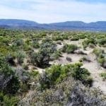 Thumbnail of .28 Acres Just Outside Crescent Valley. Hunt, Hike, Explore! Currently NO ZONING do what you want! Photo 11