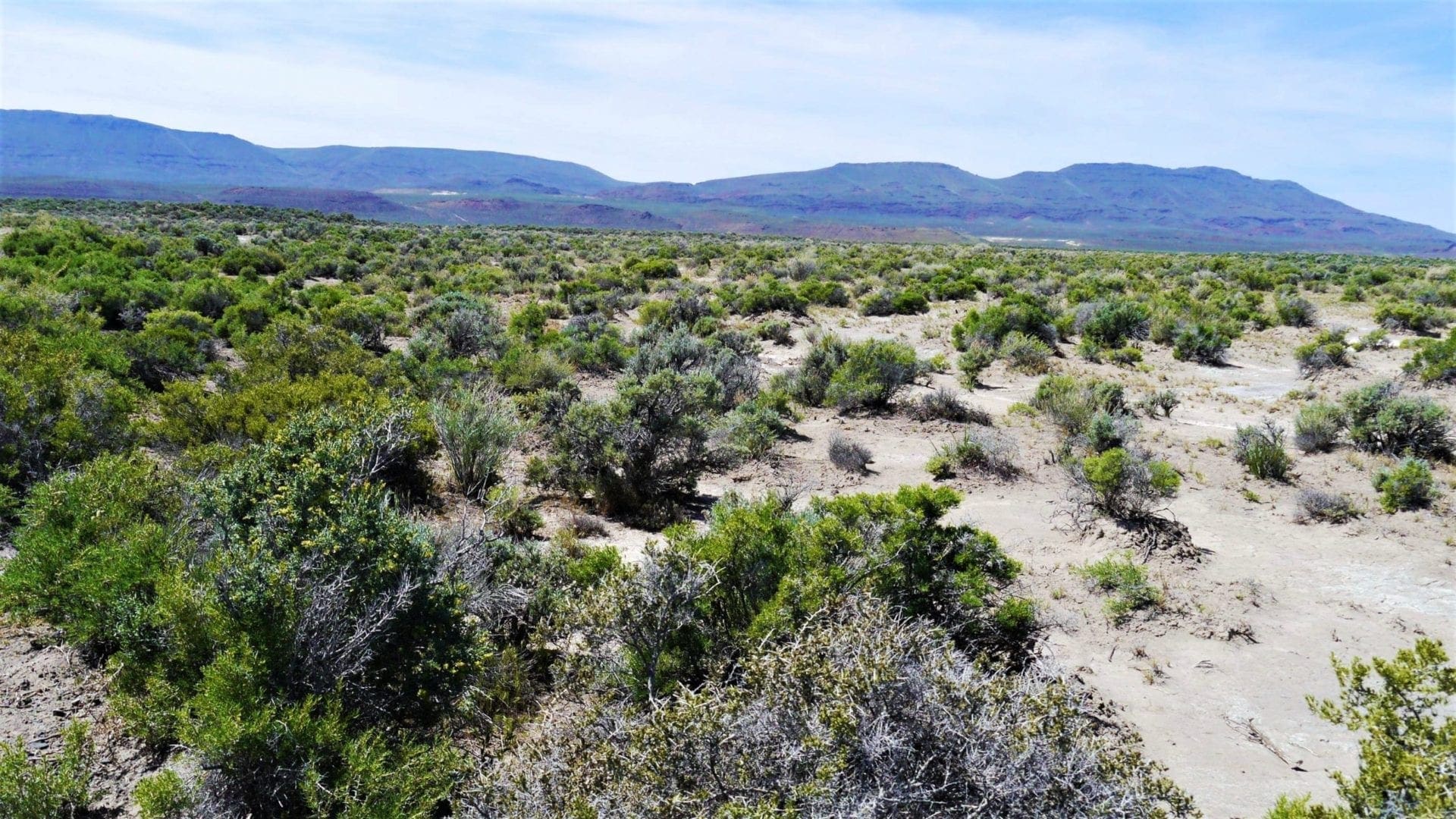 40 Acres NEVADA RANCH LAND Surrounded on Two Sides by BLM Land! Hunt, Hike, Explore! No Zoning Build what you want! photo 11