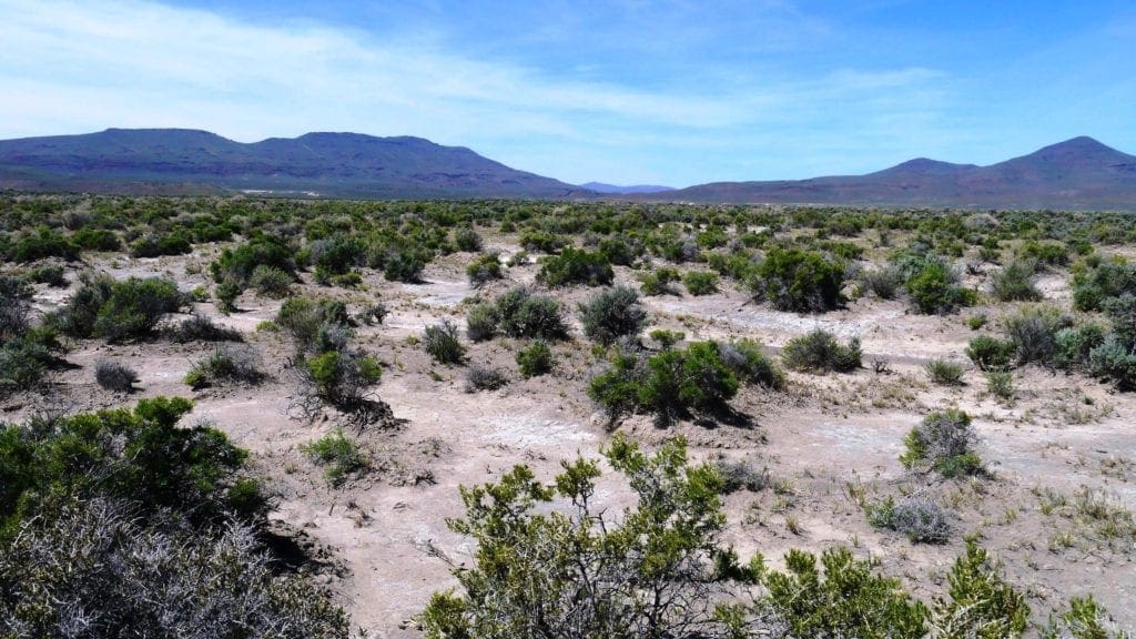 Large view of Beautiful Nevelco Unit Building Lot or Campsite! 0.25 Acres Just Outside of Crescent Valley, Nevada Photo 1