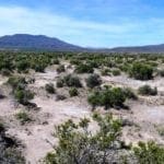 Thumbnail of 40 Acres NEVADA RANCH LAND Surrounded on Two Sides by BLM Land! Hunt, Hike, Explore! No Zoning Build what you want! Photo 10