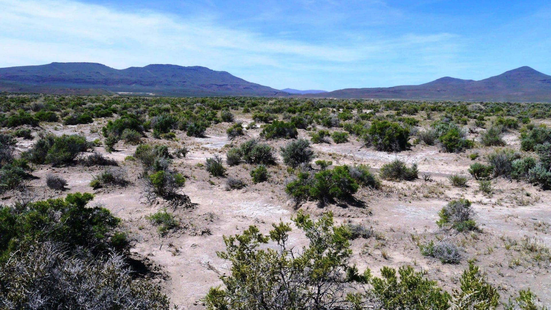 40 Acres NEVADA RANCH LAND Surrounded on Two Sides by BLM Land! Hunt, Hike, Explore! No Zoning Build what you want! photo 10