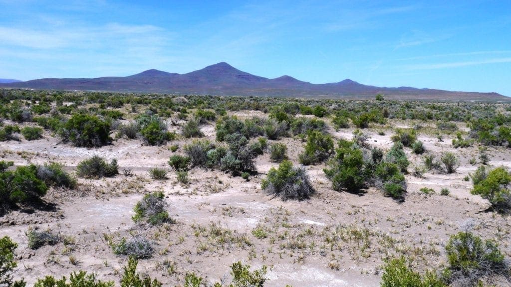 Large view of 40 Acres NEVADA RANCH LAND Surrounded on Two Sides by BLM Land! Hunt, Hike, Explore! No Zoning Build what you want! Photo 9