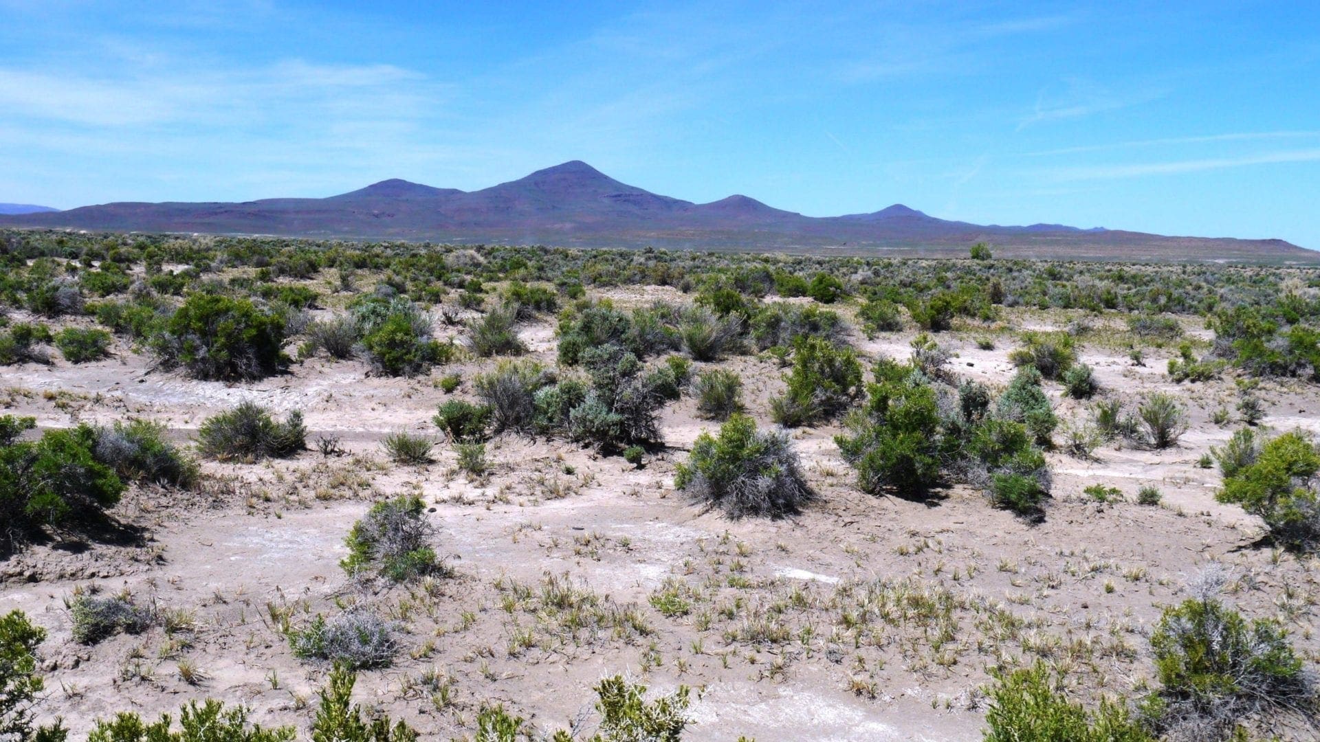 40 Acres NEVADA RANCH LAND Surrounded on Two Sides by BLM Land! Hunt, Hike, Explore! No Zoning Build what you want! photo 9