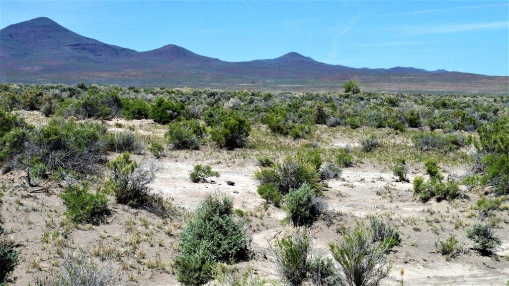 Large view of 40 Acres NEVADA RANCH LAND Surrounded on Two Sides by BLM Land! Hunt, Hike, Explore! No Zoning Build what you want! Photo 8