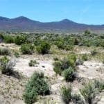 Thumbnail of Beautiful Nevelco Unit Building Lot or Campsite! 0.25 Acres Just Outside of Crescent Valley, Nevada Photo 2
