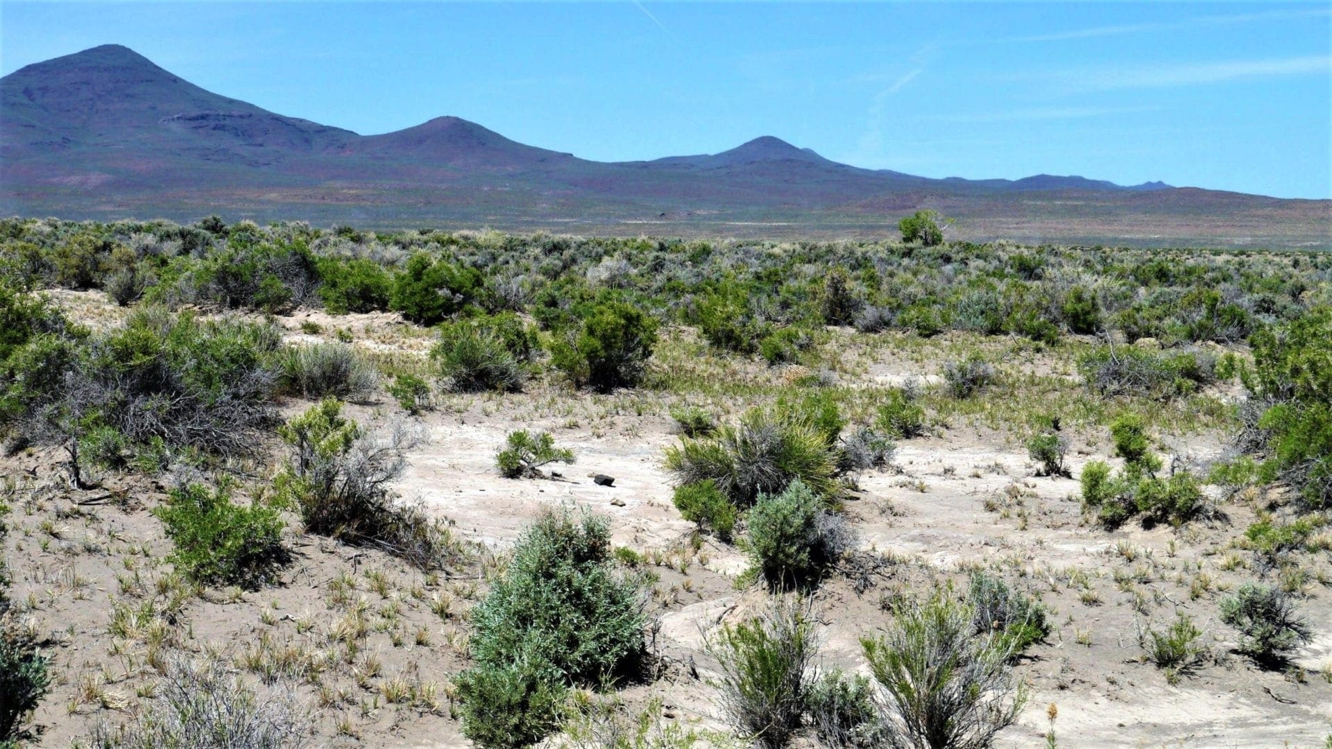 40 Acres NEVADA RANCH LAND Surrounded on Two Sides by BLM Land! Hunt, Hike, Explore! No Zoning Build what you want! photo 8