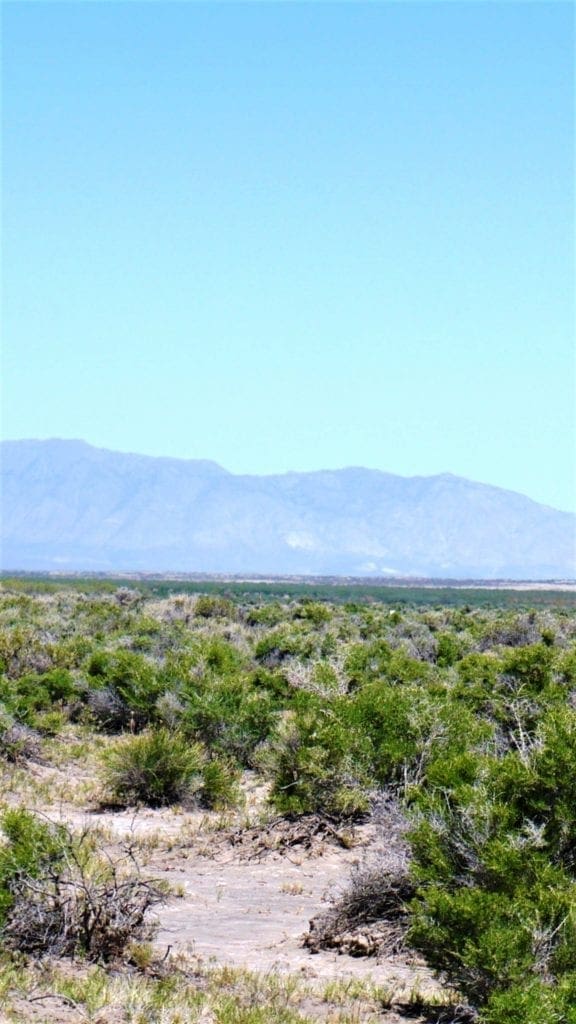 Large view of .28 Acres Just Outside Crescent Valley. Hunt, Hike, Explore! Currently NO ZONING do what you want! Photo 7