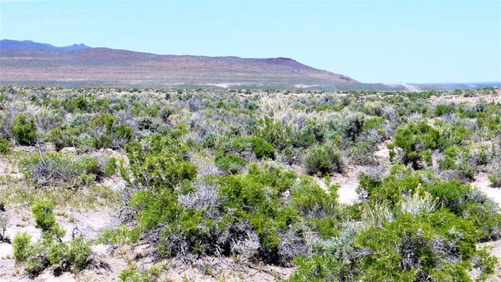 Large view of Beautiful Nevelco Unit Building Lot or Campsite! 0.25 Acres Just Outside of Crescent Valley, Nevada Photo 9