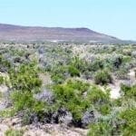 Thumbnail of 40 Acres NEVADA RANCH LAND Surrounded on Two Sides by BLM Land! Hunt, Hike, Explore! No Zoning Build what you want! Photo 6