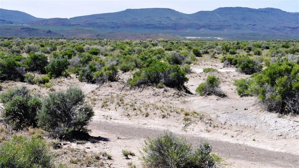 Large view of 40 Acres NEVADA RANCH LAND Surrounded on Two Sides by BLM Land! Hunt, Hike, Explore! No Zoning Build what you want! Photo 5