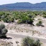 Thumbnail of 40 Acres NEVADA RANCH LAND Surrounded on Two Sides by BLM Land! Hunt, Hike, Explore! No Zoning Build what you want! Photo 5