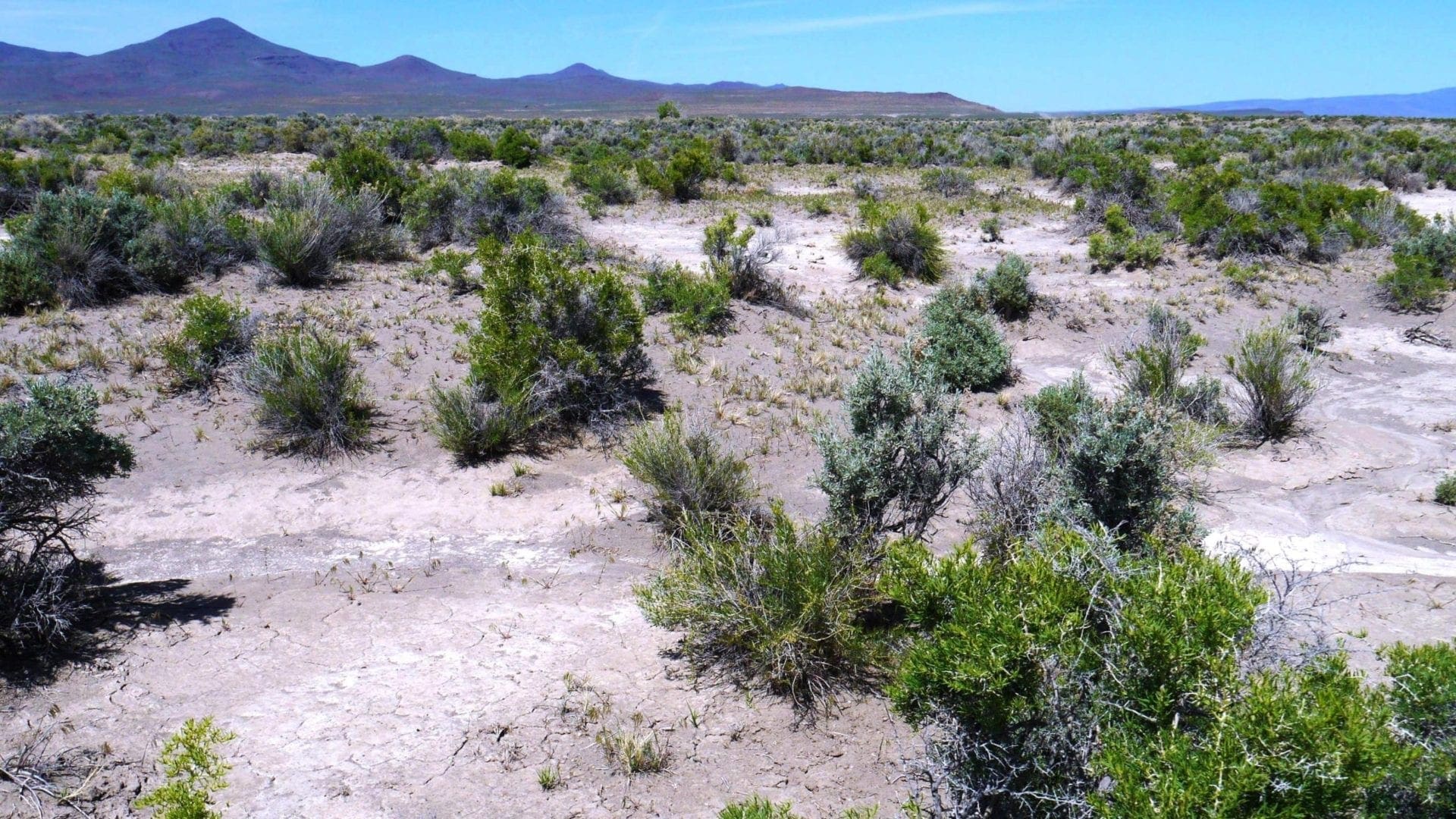 40 Acres NEVADA RANCH LAND Surrounded on Two Sides by BLM Land! Hunt, Hike, Explore! No Zoning Build what you want! photo 4