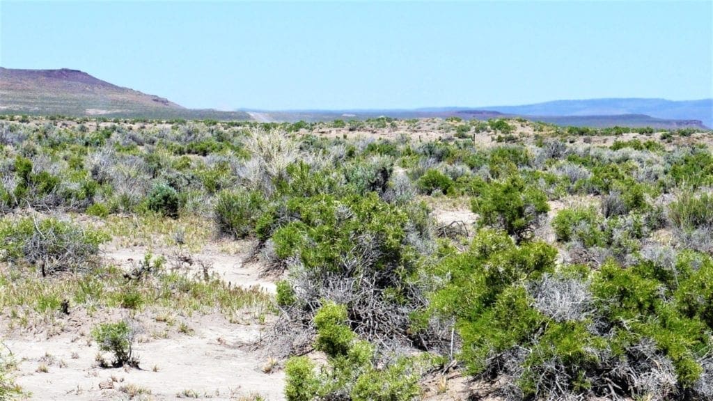 Large view of 40 Acres NEVADA RANCH LAND Surrounded on Two Sides by BLM Land! Hunt, Hike, Explore! No Zoning Build what you want! Photo 3