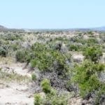 Thumbnail of 2.27 Acres In River Valley Ranches Rare Humboldt River Front land for sale near Elko Photo 17